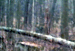 Ghost picture - Gettysburg, Pennsylvania.