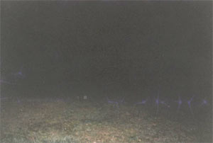 Ghost picture - Swan Lake Cemetary, Hibbing, Minnesotta.