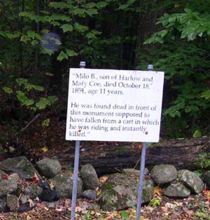 Ghost picture - Granville Street Forest area, Granville, Massachusetts.