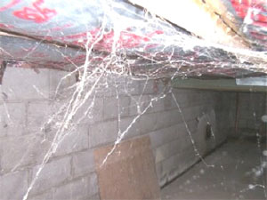 Paranormal photo - North Greece, New York.