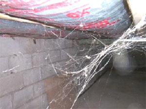 Paranormal photo - North Greece, New York.