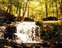 A waterfall by the trail leading into Dudleytown.