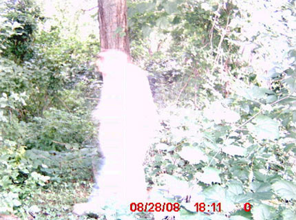 Ghost picture in Wayland, New York